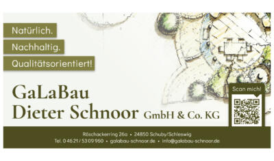 Dieter Schnoor